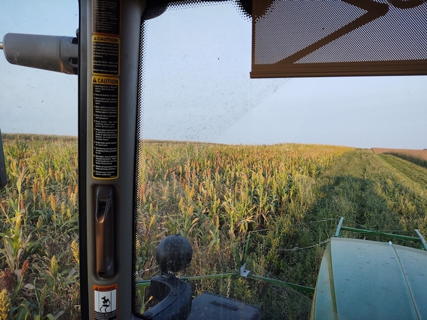 2020 UGUIDE Week 2 Harvest Report By Camp